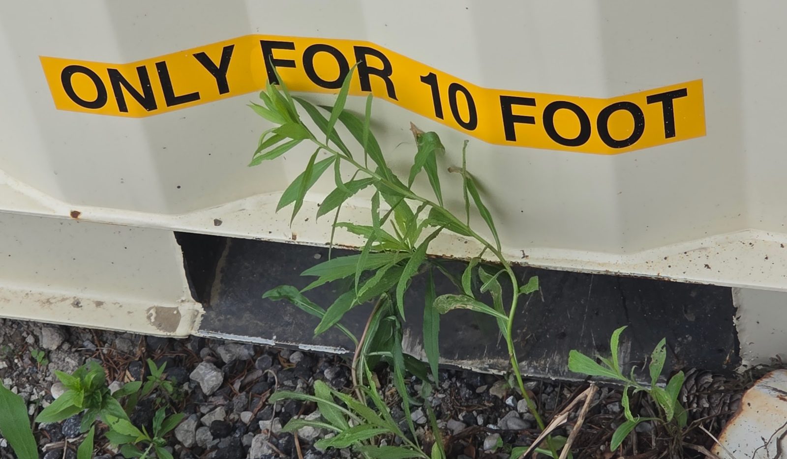 Close-up of a yellow ONLY FOR 10 FOOT decal above a fork pocket on the bottom rail of a new beige container, weeds growing from the gravel