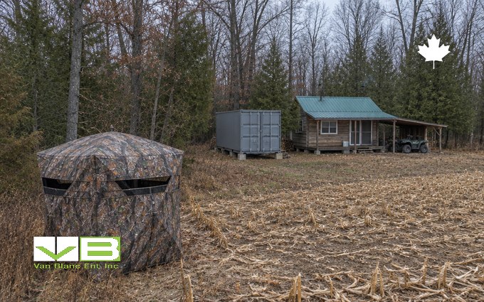 A camouflage pop-up hub hunting blind at the edge of a cut cornfield in late autumn, with a grey shipping container on blocks beside an old frame cabin with a green metal roof and a quad under a lean-to at the treeline behind it