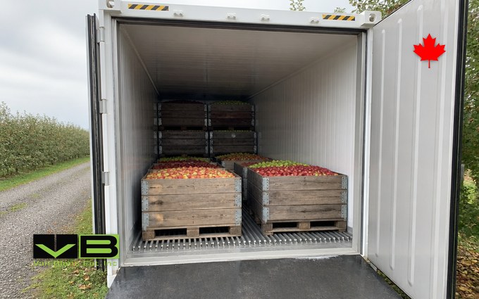 The open doors of a white refrigerated container showing wooden pallet bins of red and green apples on a slotted floor, with rows of apple trees and a gravel farm lane outside